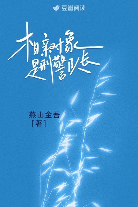 相亲对象是刑警队长海报